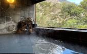 Туры в отель Hakone Suisen