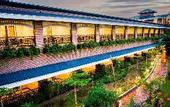 Туры в отель Mayfair Oasis Resort & Convention