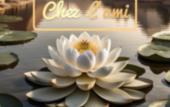 Туры в отель Chez l'ami hotel