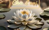 Туры в отель Chez l'ami hotel