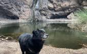 Туры в отель Alojamientos Charco Azul