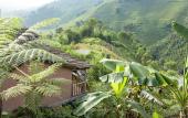 Туры в отель Pu Hmong Eco Retreat