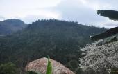Туры в отель Pu Hmong Eco Retreat