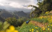 Туры в отель Pu Hmong Eco Retreat