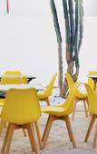 Туры в отель Hotel Royal Urban Concept