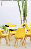Туры в отель Hotel Royal Urban Concept