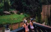 Туры в отель Morning Star Glamping