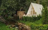 Туры в отель Morning Star Glamping