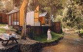 Туры в отель Morning Star Glamping