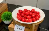 Туры в отель Licheng Jundun Hotel (Chongqing Central Park)