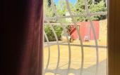 Туры в отель The Red Farm Relais & Spa