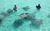 Туры в отель Madi Grand Maldives