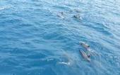 Туры в отель Madi Grand Maldives