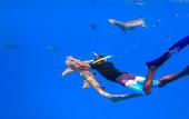 Туры в отель Madi Grand Maldives