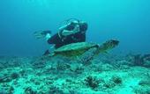 Туры в отель Madi Grand Maldives