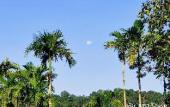 Туры в отель Phurin Thara Resort