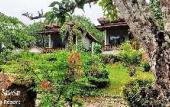 Туры в отель Phurin Thara Resort