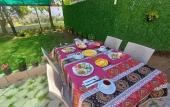 Туры в отель Olive House