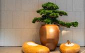 Туры в отель Ji Hotel Foshan Shunde Midea Headquarters Store