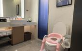 Туры в отель Hampton by Hilton Fucheng  Mianyang