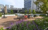 Туры в отель Hampton by Hilton Xiangyang