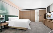 Туры в отель Hampton by Hilton Xiangyang