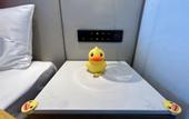 Туры в отель Novotel Tianjin