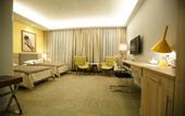 Туры в отель Green Which Hotel