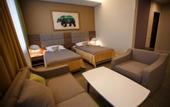 Туры в отель Green Which Hotel