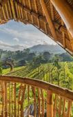 Туры в отель Veluvana Bali