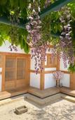 Туры в отель Adam Guesthouse
