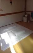 Туры в отель Adam Guesthouse
