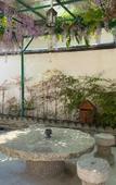 Туры в отель Adam Guesthouse