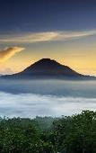 Туры в отель Black Lava Camp Kintamani