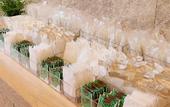 Туры в отель Hotel Kii Tanabe