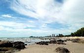 Туры в отель My Resort Hua Hin e505 wth Free Water Park