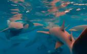 Туры в отель Noah Private Beach House