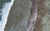 Туры в отель Noah Private Beach House