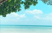 Туры в отель Noah Private Beach House