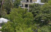 Туры в отель Noah Private Beach House