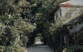 Туры в отель Noah Private Beach House