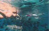 Туры в отель Noah Private Beach House