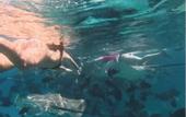 Туры в отель Noah Private Beach House