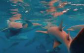 Туры в отель Noah Private Beach House