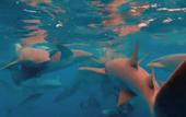 Туры в отель Noah Private Beach House