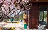 Туры в отель Wyndham Grand Plaza Royale Peach Blossom Hot Springs Resort Hunan