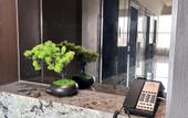 Туры в отель Wanjia International Hotel Baoying Yangzhou (Wuyue Plaza)
