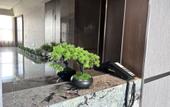 Туры в отель Wanjia International Hotel Baoying Yangzhou (Wuyue Plaza)