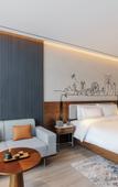 Туры в отель UrCove by Hyatt Weifang City Center