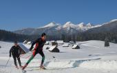 Туры в отель Hotel Julian Alps